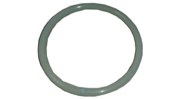 AstralPool Lid Gasket | 4404020111