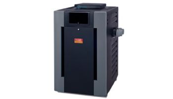 SPECIAL OFFER !!! Raypak Digital Low NOx Natural Gas Heater 399k BTU | P-R407-EN-C 009243 P-M407AL-EN-C 009993