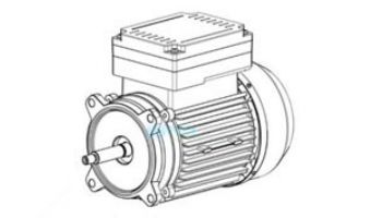 Hayward TEFC Threaded Motor 1.5HP 115/230V | SPX2610Z1MTG