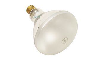 Hayward Bulb | 120V - 400W | SPX0584Z2