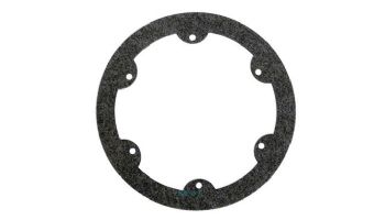 Hayward PVC Niches Gasket | SPX0608G