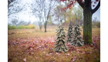 Desert Steel Blue Atlas Cedar | 412-201