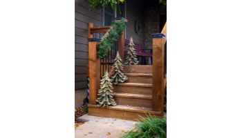 Desert Steel Blue Atlas Cedar | 412-201