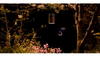 FX Luminaire Down Light LED | 3 Watt | Bronze Metallic | VL-LED203NF-BZ