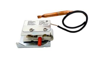 Coates High Temperature Limit Switch | 22003820