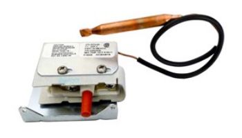 Coates High Temperature Limit Switch | 22003820