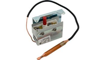 Coates High Temperature Limit Switch | 22003820