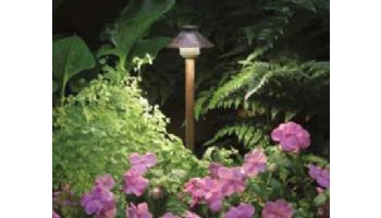 FX Luminaire DP LED 20W Path Light | Copper | 12'' Riser | DP-LED20W-12R-CU