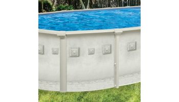 Millenium 12' x 24' Oval Above Ground Pool with Standard Package | 52" Wall | PPMIL122452