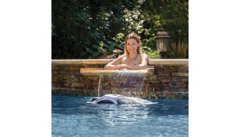 Hayward TriVac 700 Pressure-Side Automatic Pool Cleaner | W3TVP700C