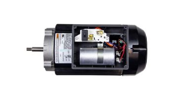 Nidec Motor Corp Aqua Shield Pro TEFC Square Flange Pool & Spa Motor | Premium High Efficiency | 1.25 THP 115/208-230V 48 Frame | TEQ125