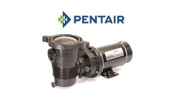 Pentair OptiFlo 1HP Vertical Discharge Above Ground Pool Pump with 25' Cord | 348197