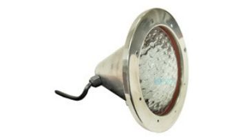 Halco Lighting Incandescent Spa Light Fixture | 12V 100W 150' Cord | FIWS-12-100-150