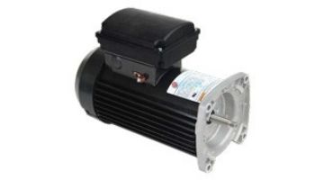 Nidec Motor Corp Aqua Shield Pro TEFC Square Flange Pool & Spa Motor | Premium High Efficiency | 2.25 THP 115/208-230 V 48 Frame | TEQ225 loading=