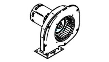 Lochinvar Combustion Air Fan 115-230VAC | 100145012 loading=