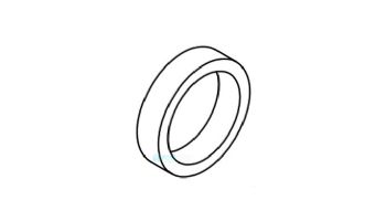 Lochinvar 2" Flange Gasket | 100208100