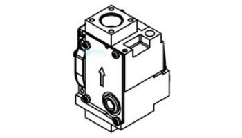 Lochinvar Gas Valve Assembly | 100268033