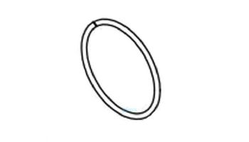 Lochinvar Venturi Gasket | 100208761