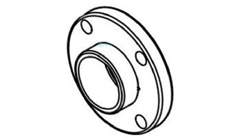 Lochinvar Flange | 100293917