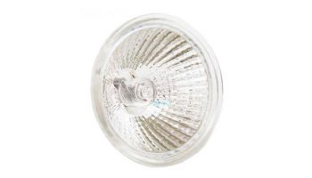 Hayward Halogen Bulb | 2-Pin 75W 12V | SPX0590H