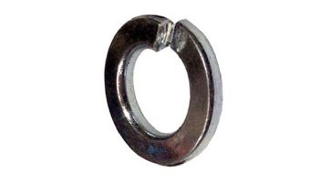 Waterco Multicyclone 1/4" Spring Washer | 645461
