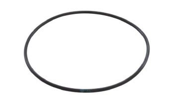Waterco Hydrostar Plus O-Ring BS354 Diffuser Nozzle | 634606