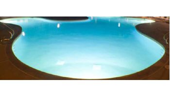 J&J Electronics PureWhite VU Nicheless LED Pool and Spa Light Fixture | 20W 12V 150' Cord | LPL-R2W-12-150 25052