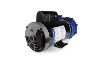 Gecko Maelstrom 56 Frame Spa Pump MS-1-V26-3.0-2 | 3 HP 240V 2 Speed | 0800-390000