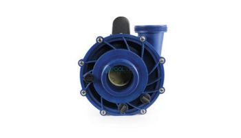 Gecko Maelstrom 56 Frame Spa Pump MS-1-V26-3.0-2 | 3 HP 240V 2 Speed | 0800-390000