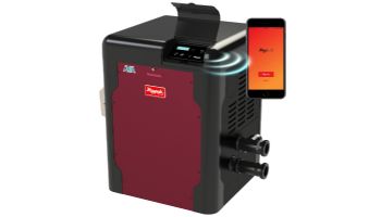 Raypak AVIA Digital Low NOx Natural Gas Pool and Spa Heater | 264k BTU | Altitude 0-9999 Ft | Copper Heat Exchanger | P-D264A-EN-C 018092 | P-R264A-EN-C 018032