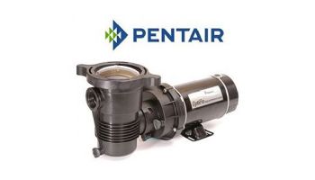 Pentair OptiFlo 1HP Horizontal Above Ground Pool Pump with 3' Cord and Twist Lock Plug 115V | 348199