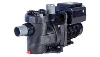 Speck BADU Pro-V Self-Priming High Flow Variable Speed Pump | 2_quot; Port Size 2.7 THP 230V 7.83WEF | IG385-V270T-TUS