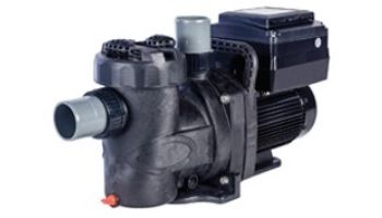 Speck BADU Pro-V Self-Priming High Flow Variable Speed Pump | 2_quot; Port Size 2.7 THP 230V 7.83WEF | IG385-V270T-TUS loading=