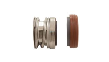 Waterway HI-FLO II Pump Viton Seal Kit | 319-3090