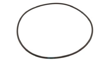 Waterco Hydrostar Pump Lid O-Ring | 634075