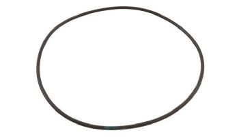 Waterco Hydrostar Pump Lid O-Ring | 634075