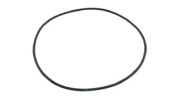 Waterco Strainer Lid O-Ring | 19B5051
