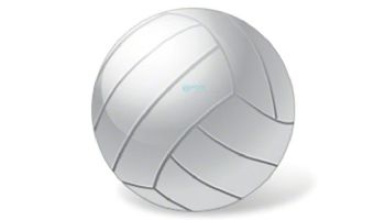 SR Smith Volleyball Ball with Needle | VBK-100V
