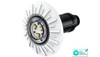 Brilliant Wonders Color LED Light | H-Style 11 Watts 100' Cord | Black Color Faceplate | 25503-564-100H