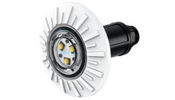 Brilliant Wonders Color LED Light | H-Style 11 Watts 100' Cord | Black Color Faceplate | 25503-564-100H