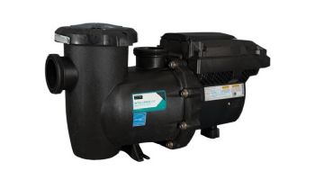 Sta-Rite IntelliPro3 VSF Variable Speed & Flow Pool Pump | 3HP 208-230V 2590W | 013075