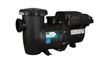 Sta-Rite IntelliPro3 VSF Variable Speed & Flow Pool Pump with Relay Board | 3HP 208-230V 2590W | 013076