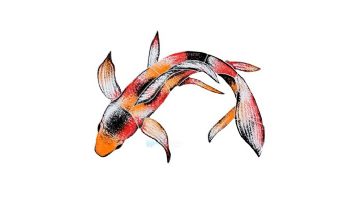 Artistry In Mosaics Koi Fish A Mosaic | 7" x 10" | KFMCOAS