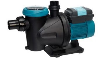 ESPA SilenPlus Variable Speed Swimming Pool Pump | 1 HP Max | 230 Volt | 5-SILENPLUS 1