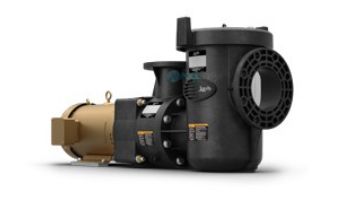 Jandy JCP Commercial Polymer Pump | 5HP 208-230V TEFC Single Phase