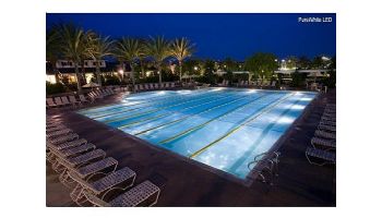 J&J Electronics PureWhite Pro LED Pool Lamp | 120V Cool White Equivalent to 500W | LPL-PRHO-CW-120 26810