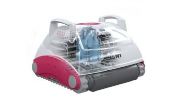 BWT D100 Robotic Pool Cleaner | 1016100