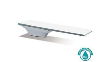 SR Smith Flyte-Deck II Stand and Fibre-Dive Board Complete | 10' Pewter Gray with Pewter Gray Matching Tread | 68-209-74020T