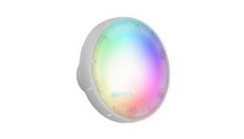 PAL Treo Max Nicheless Pool _ Spa Light Only | No Cable _ Plug | Multicolor | 64-EGTMX-01