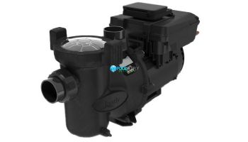 Jandy FloPro Variable Speed Pump with SpeedSet Controller | 3.8HP Full-Rated | 2 Aux Relays | 230V Energy Efficient | VSFHP3802AS